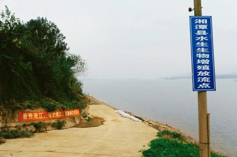 以“鱼”还“渔”护生态——湘潭县法院联合多部门开展增殖放流活动 以“鱼”还“渔”护生态——湘潭县法院联合多部门开展增殖放流活动