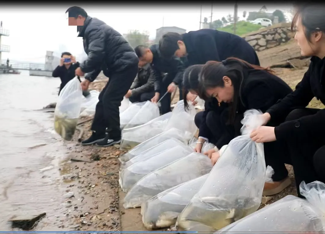 以“鱼”还“渔”护生态——湘潭县法院联合多部门开展增殖放流活动 以“鱼”还“渔”护生态——湘潭县法院联合多部门开展增殖放流活动