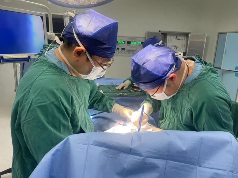 【大病不出市】不用插管!气管肿瘤手术竟然还可以这样做…… 【大病不出市】不用插管!气管肿瘤手术竟然还可以这样做……