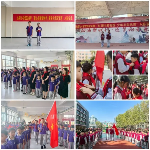 行远自迩望来路 巳巳如意启新程——2024年工作总结