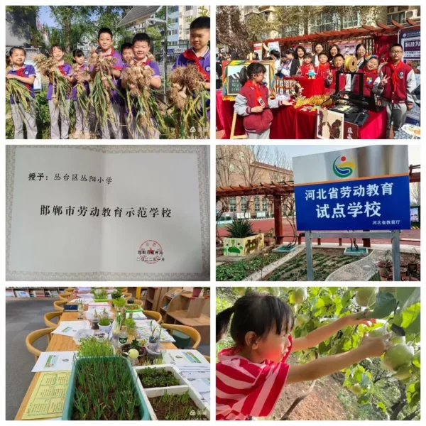 行远自迩望来路 巳巳如意启新程——2024年工作总结